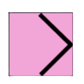 Answer option